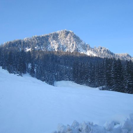 Oberschlassbergbauer Wald im Pinzgau Ngoại thất bức ảnh