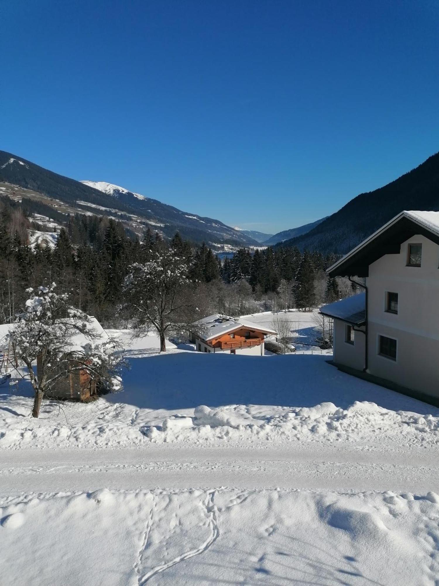 Oberschlassbergbauer Wald im Pinzgau Ngoại thất bức ảnh