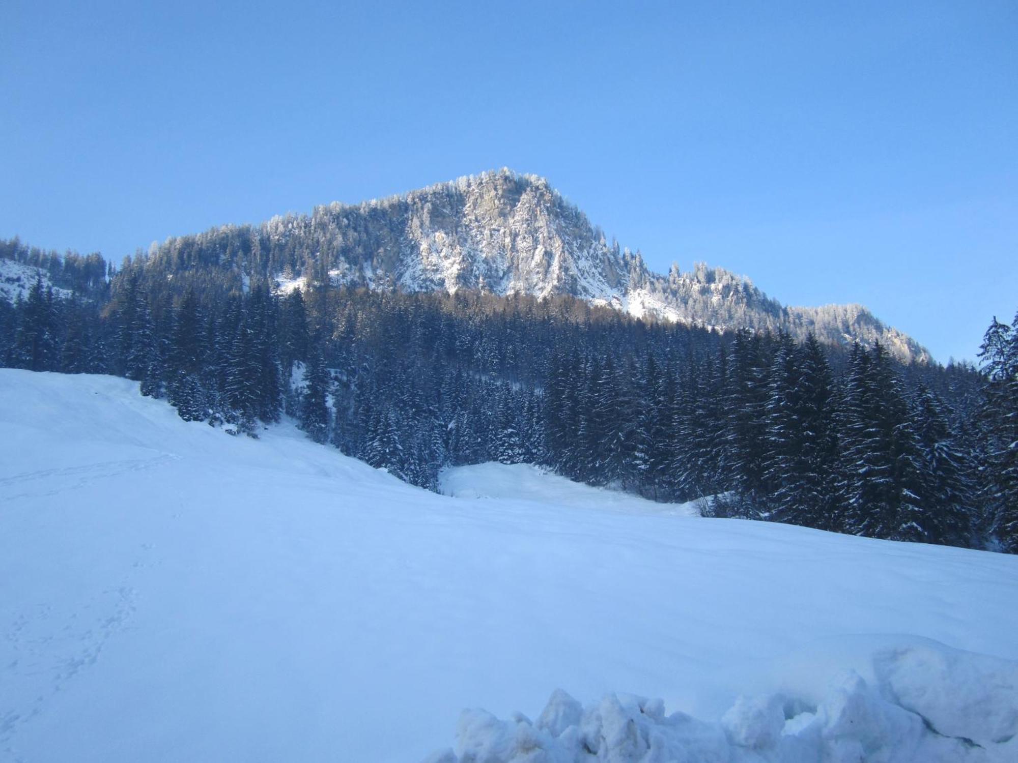 Oberschlassbergbauer Wald im Pinzgau Ngoại thất bức ảnh